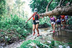 BIB: 
                            <button type="button" onclick="openModal(25462310)" class="btn btn-primary btn-sm float-right btn-popup" data-toggle="modal" data-target=".modal-high-quality">
                        <i class="fas fa-shopping-cart"></i> Add to Cart
                    </button>
                                            <button type="button" onclick="isThisMe(25462310, true)" class="btn btn-success btn-sm float-right btn-popup btn-isme hidden" data-toggle="tooltip" data-placement="bottom" title="นี่คือรูปของคุณใช่ไหม คลิกที่นี่เพื่อเอาเข้าอัลบั้ม">
                        <i class="fas fa-plus"></i> Add to album
                    </button>
                    <button type="button" onclick="isThisMe(25462310, false)" class="btn btn-warning btn-sm float-right btn-popup btn-isnotme hidden">
                        <i class="fas fa-ban"></i> Remove from album
                    </button>